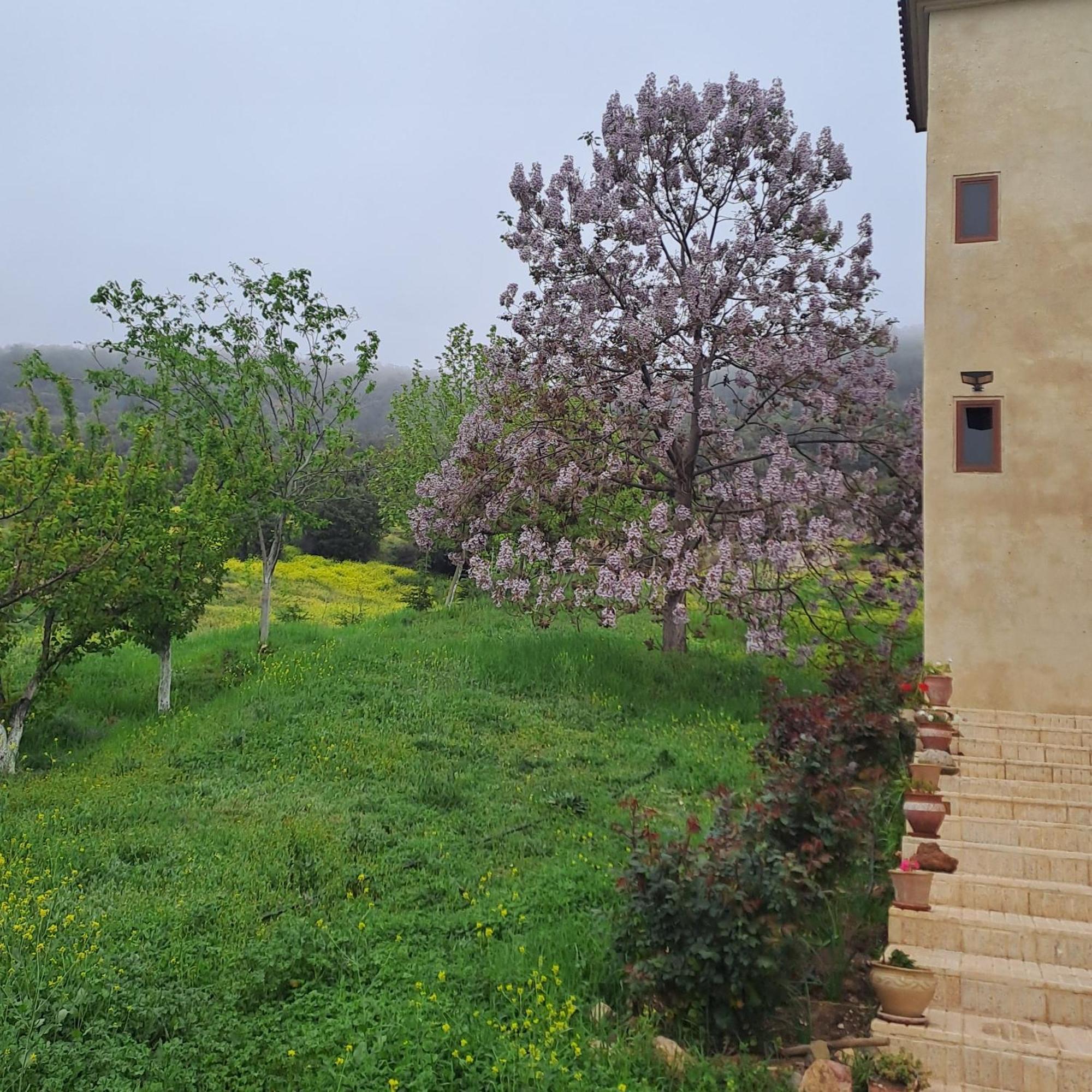 Le Chene D'Azrou Hotel Exterior photo