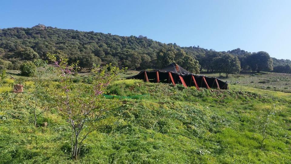 Le Chene D'Azrou Hotel Exterior photo